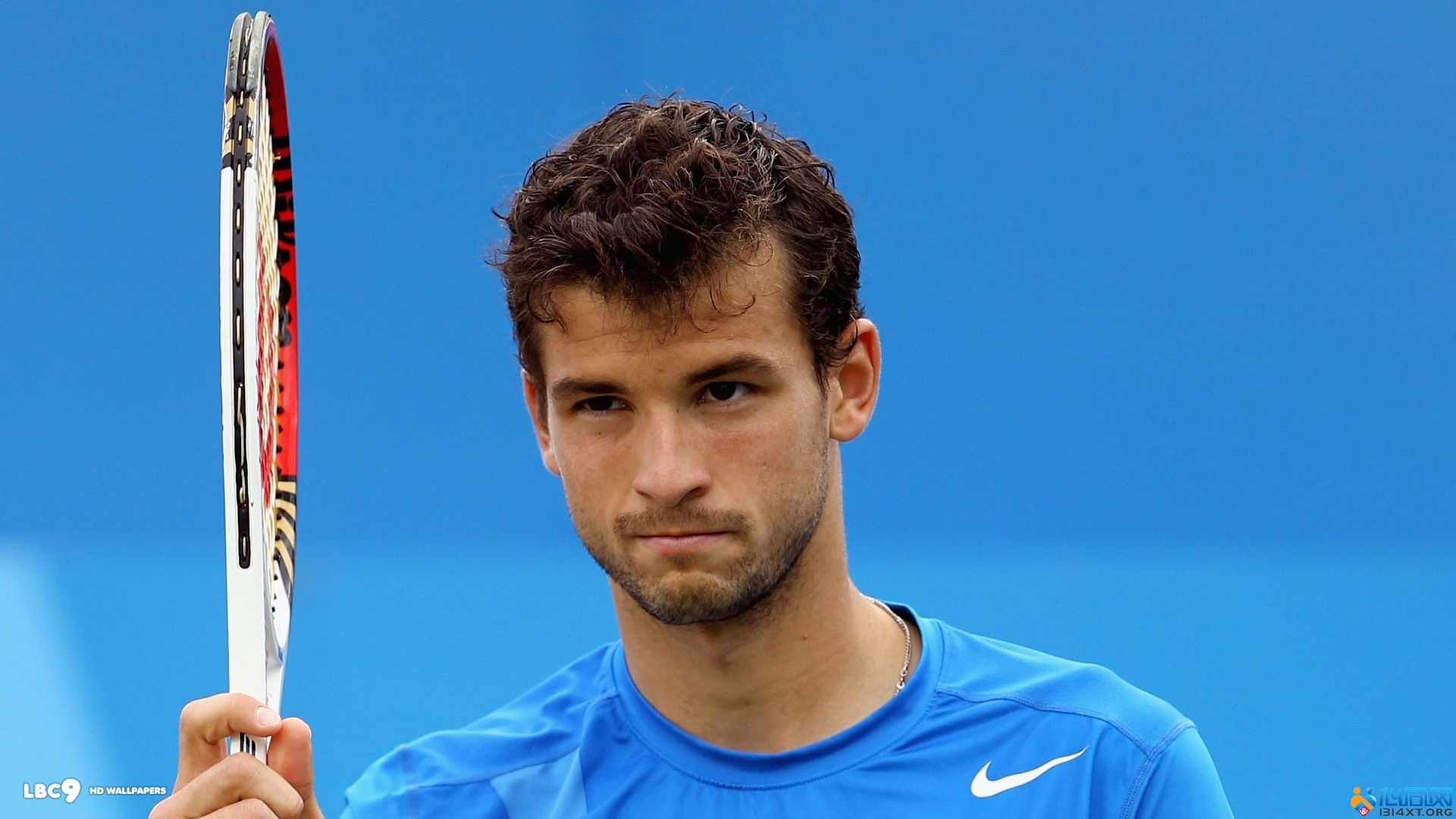 为球迷带来 为球迷带来