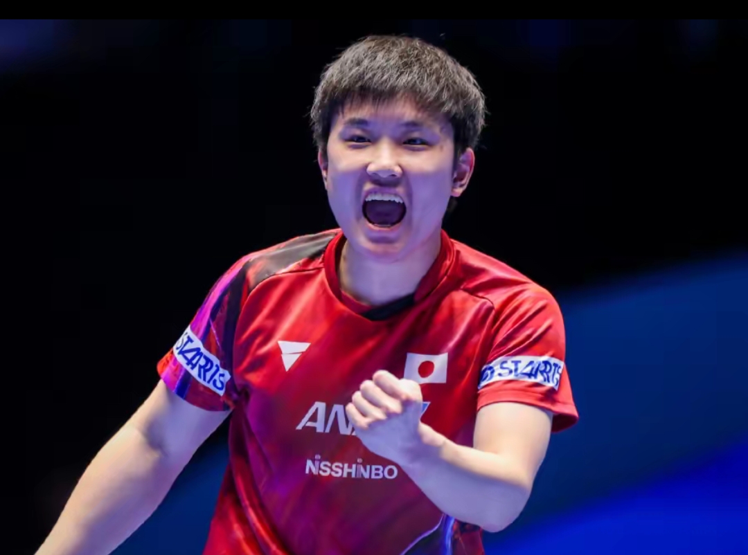 自然嵌入赛 自然嵌入赛